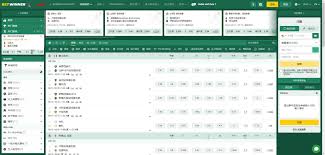 Everything You Need to Know About Betwinner Login Everything You Need to Know About Betwinner Login