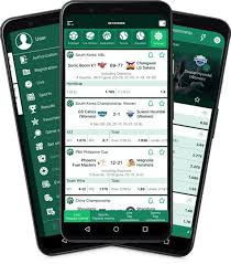 Exploring the Exciting Features of the Baji Live App