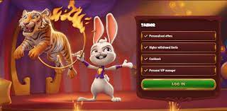 Magius Casino Registration Process 16 Magius Casino Registration Process 16