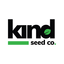 Everything You Need to Know About Weed Seeds NYC 1 Everything You Need to Know About Weed Seeds NYC 1
