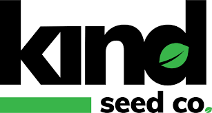 Everything You Need to Know About Weed Seeds NYC 1 Everything You Need to Know About Weed Seeds NYC 1