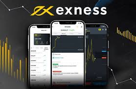 Understanding the Legality Of Trading With Exness 1 Understanding the Legality Of Trading With Exness 1