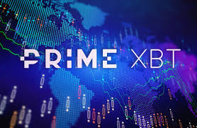 Exploring the Diverse Users of PrimeXBT 0